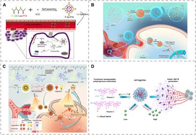 Recent Advances in Stimuli-Sensitive Amphiphilic Polymer-Paclitaxel Prodrugs